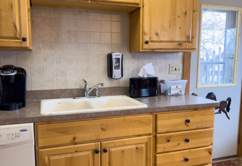 Log House Kitchen Sink Dishwasher IMG 0298